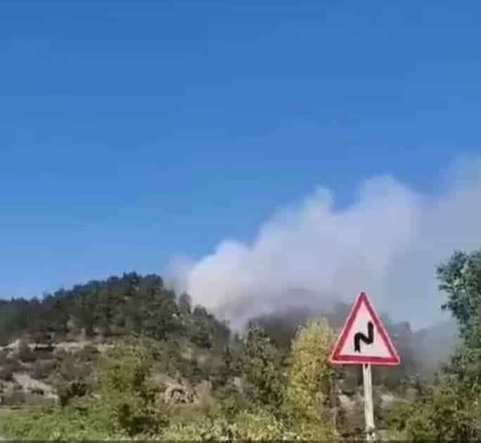 Orman yangınında 1 hektarlık alan zarar gördü