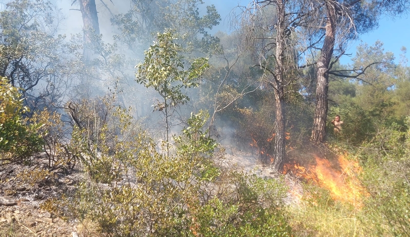 Orman yangınında 1 hektarlık alan zarar gördü