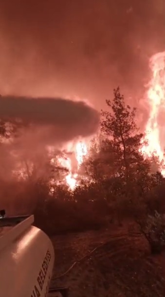 Orman yangınından yürek yakan görüntüler