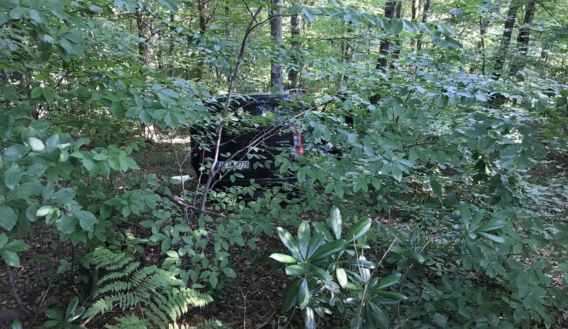 Ormana uçan araçtaki 4 kişi yaralandı