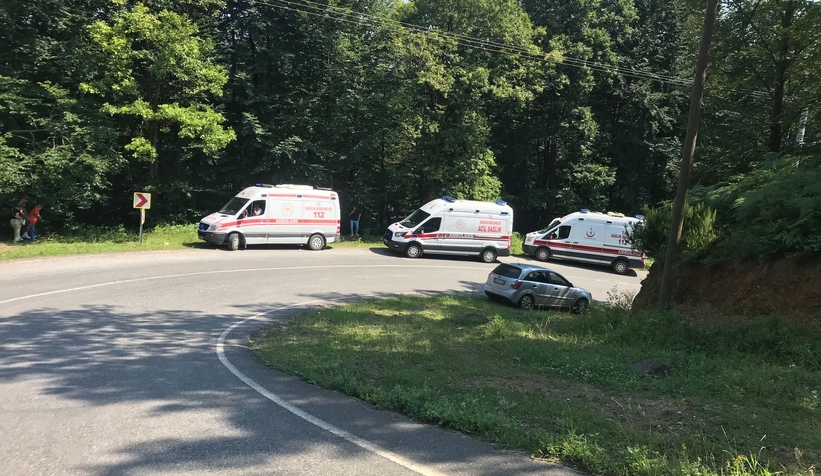 Ormana uçan araçtaki 4 kişi yaralandı