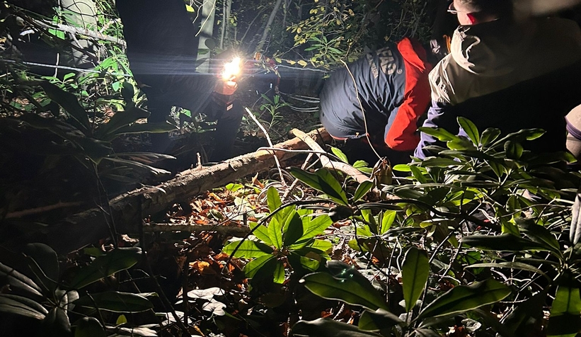 ormanda-dustu-ekipler-kurtardiouxuei9nsd