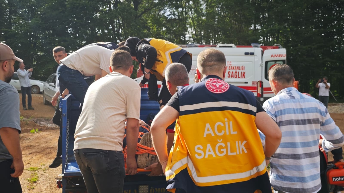 Ormanda kurtarma operasyonu; Seferber oldular