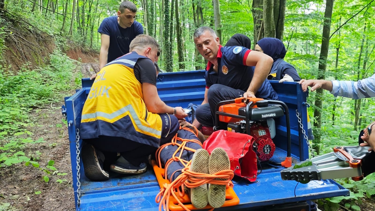Ormanda kurtarma operasyonu; Seferber oldular