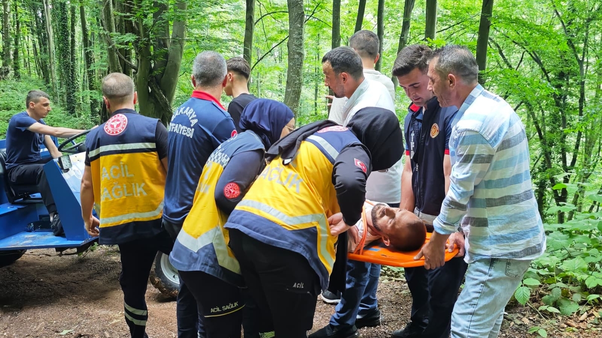 Ormanda kurtarma operasyonu; Seferber oldular