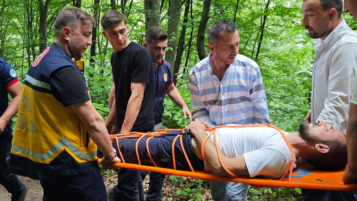 Ormanda kurtarma operasyonu; Seferber oldular
