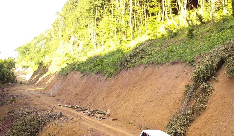 Ormandan toprak ve odun çalan şüpheliler fotokapana takıldı