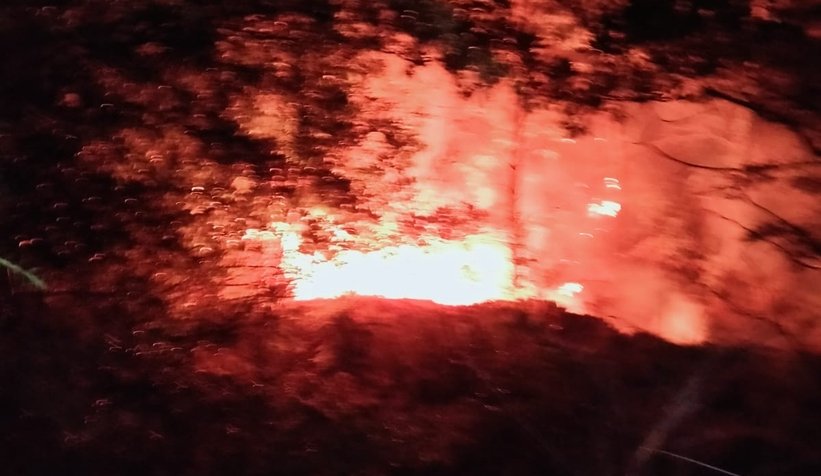 Ormanları söndürmek için canla başla çalışıyorlar