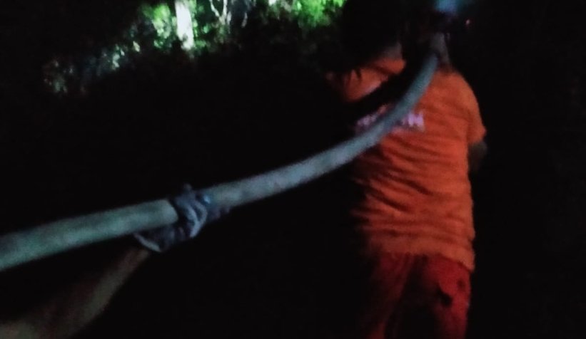 Ormanları söndürmek için canla başla çalışıyorlar