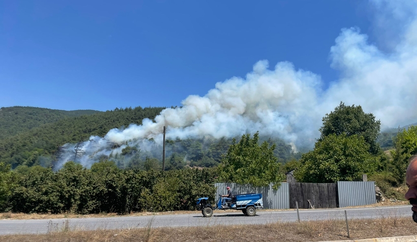 Dokurcun'da 10 hektar alan yandı