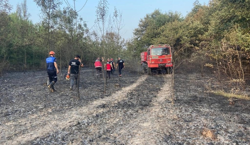 Ormanlık alanda yangın