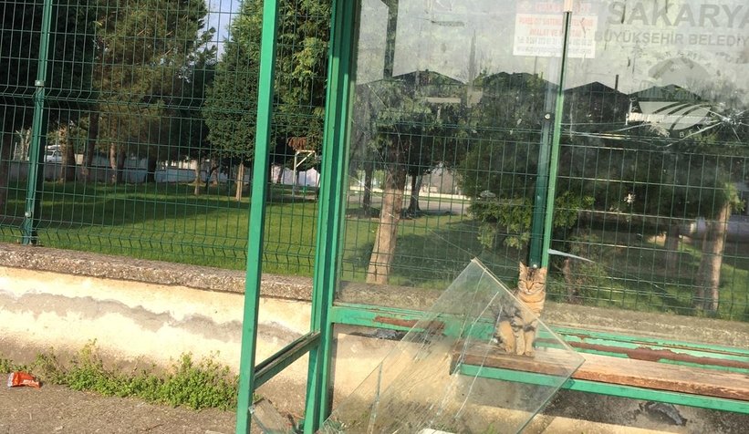otobus-duragina-maganda-saldirisiuzbxztvrm3