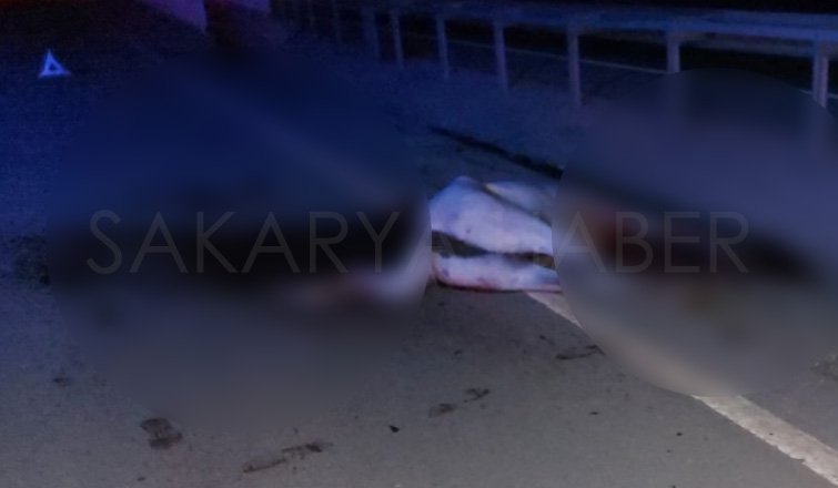 Otomobil ata çarptı