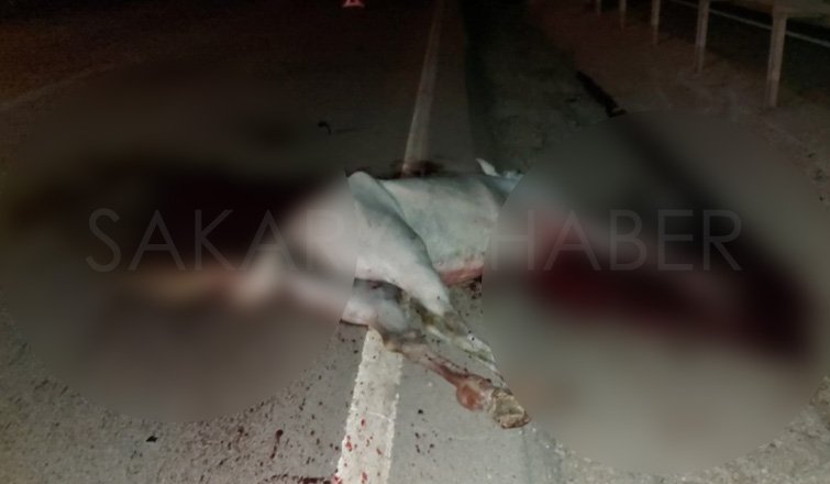 Otomobil ata çarptı