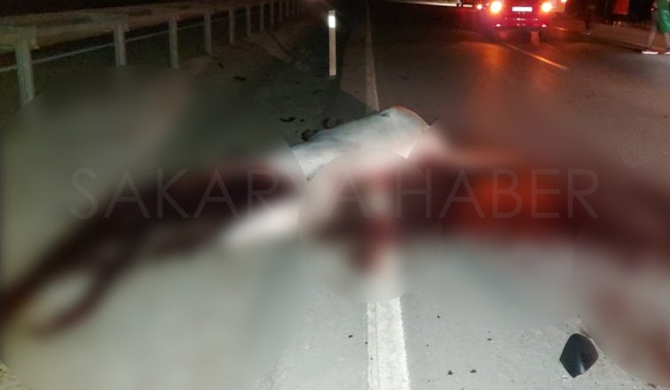 Otomobil ata çarptı