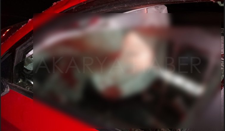 Otomobil ata çarptı