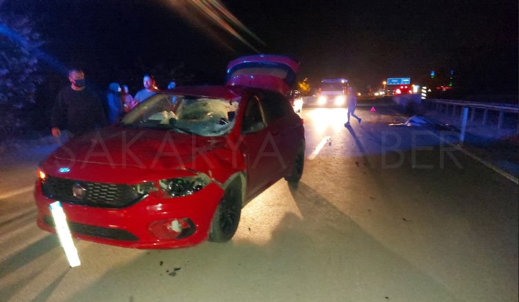 Otomobil ata çarptı