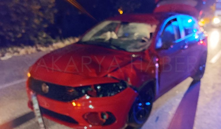 Otomobil ata çarptı