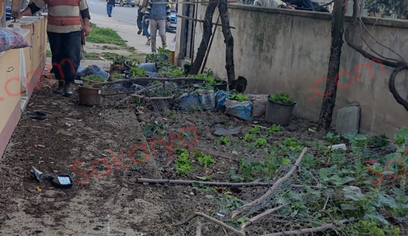 Otomobil evin bahçesine daldı: 2 yaralı