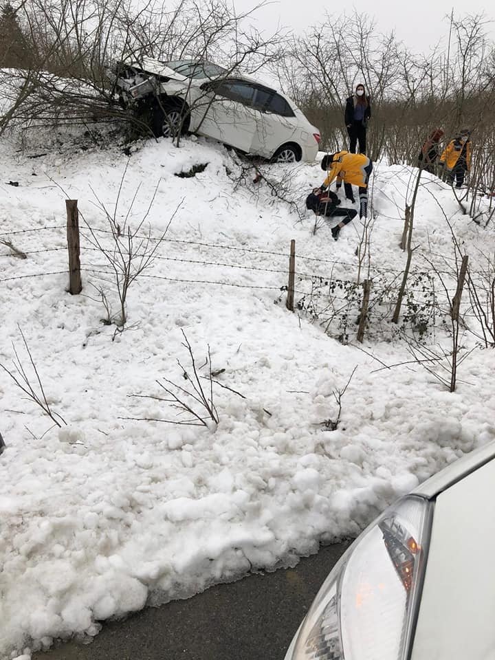 Otomobil fındıklığa daldı: 2 yaralı