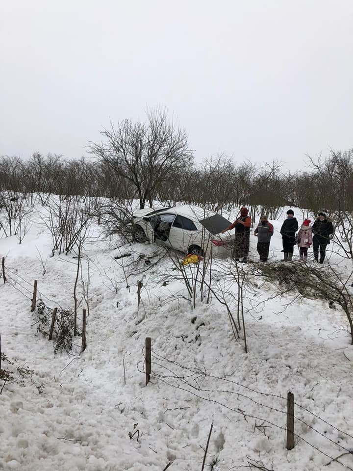 Otomobil fındıklığa daldı: 2 yaralı