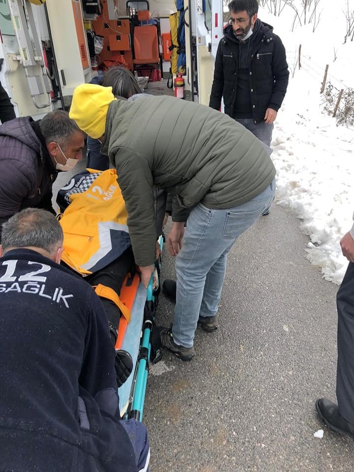 Otomobil fındıklığa daldı: 2 yaralı