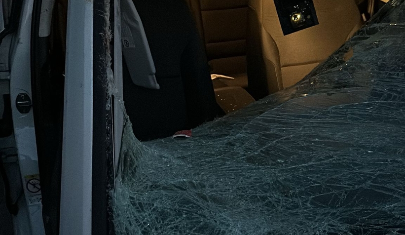 Otomobil geyiğe çarptı