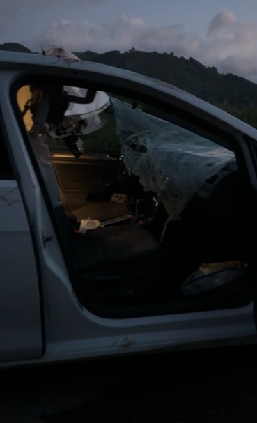 Otomobil geyiğe çarptı