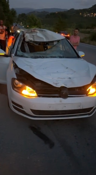 Otomobil geyiğe çarptı