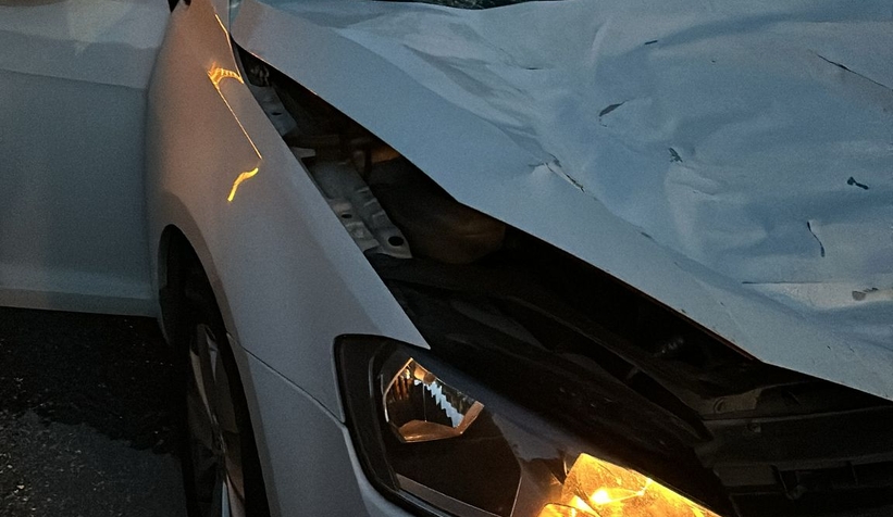 Otomobil geyiğe çarptı