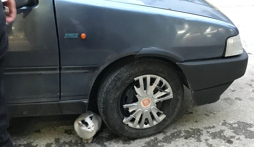 otomobil-ile-motosikletli-kurye-carpistinxl5c21rue