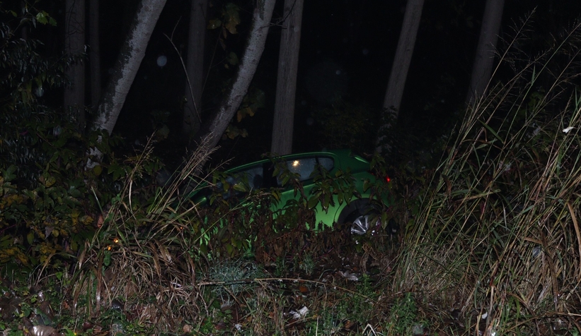 Otomobil kavaklığa uçtu: 2 yaralı