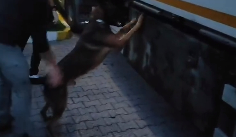 Otoyolda durdurulan tırdan kokain ve esrar çıktı