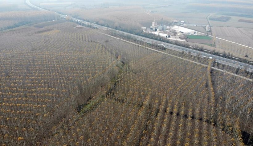 Otoyolda hız kesen manzara