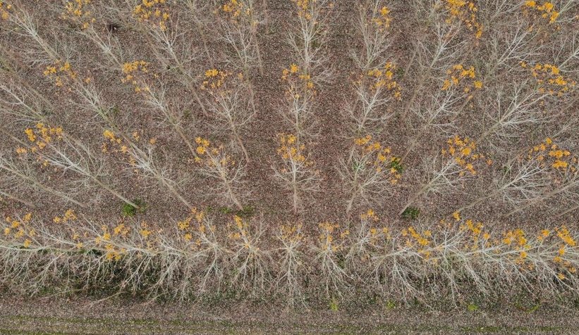 Otoyolda hız kesen manzara