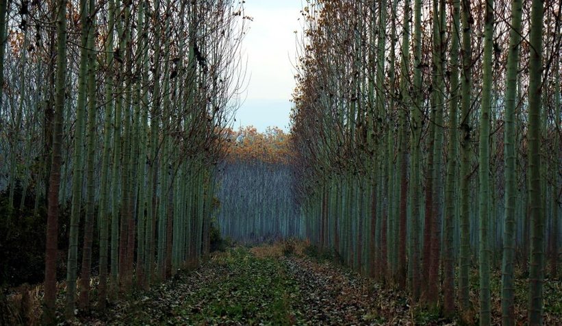 Otoyolda hız kesen manzara