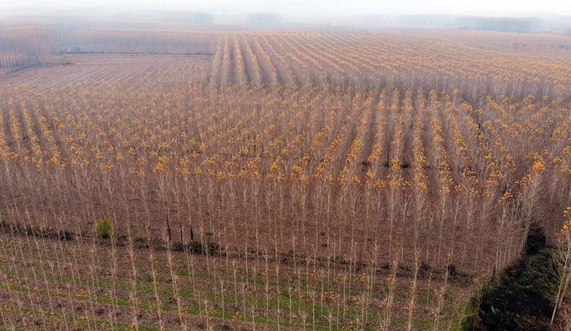 Otoyolda hız kesen manzara