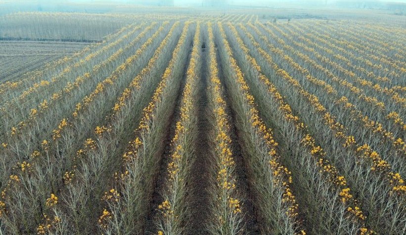 Otoyolda hız kesen manzara