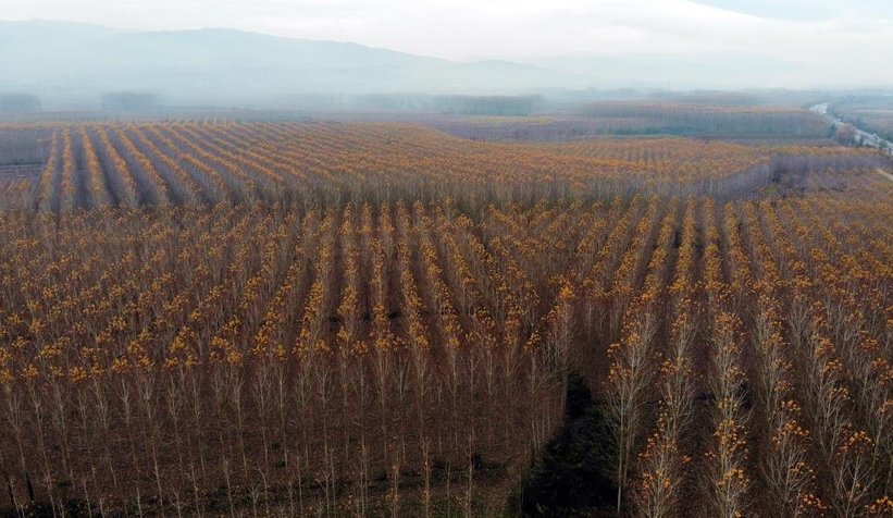 Otoyolda hız kesen manzara