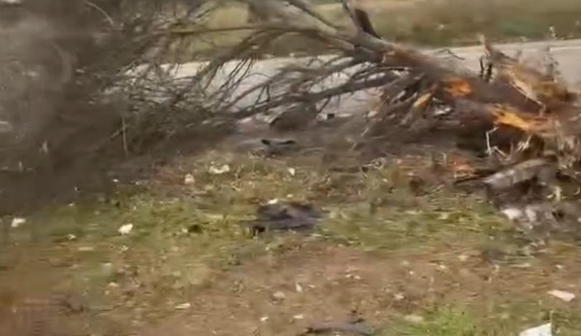 Otoyolda otomobil takla attı: 1 yaralı