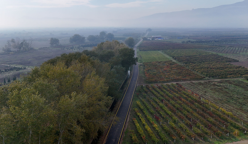 pamukova-da-6-mahallede-islem-tamamzhpozu9hnf