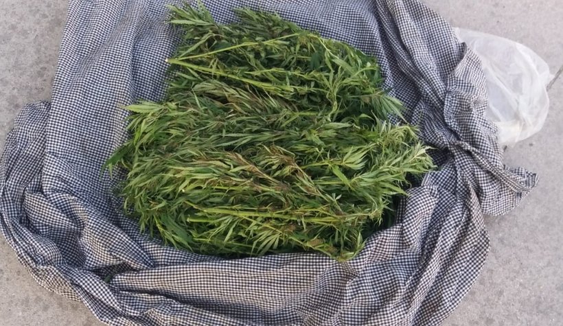 Pamukova'da uyuşturucu operasyonu