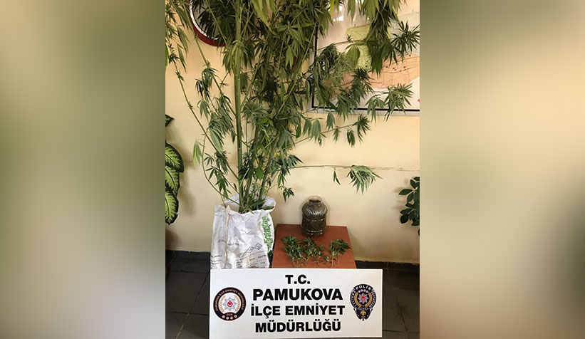 pamukova-da-uyusturucu-operasyonuu0rtugdpd3