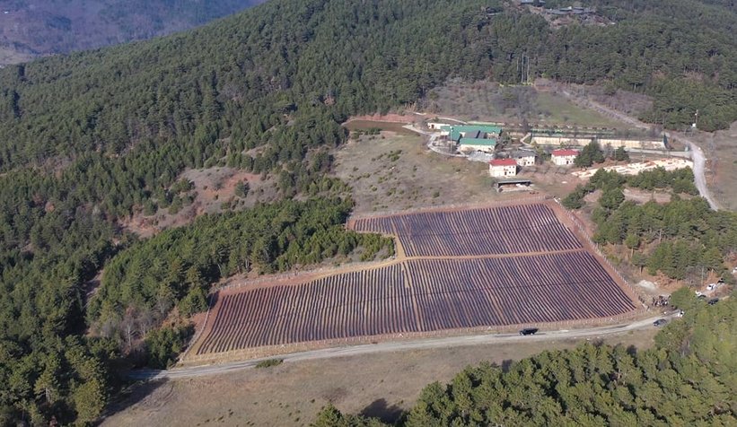 Pamukova’da çilek fideleri toprakla buluşuyor