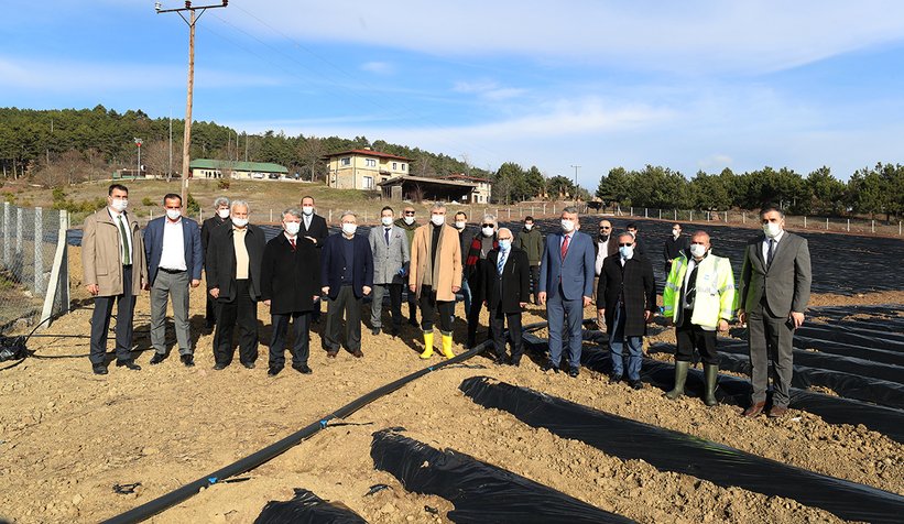 Pamukova’da çilek fideleri toprakla buluşuyor