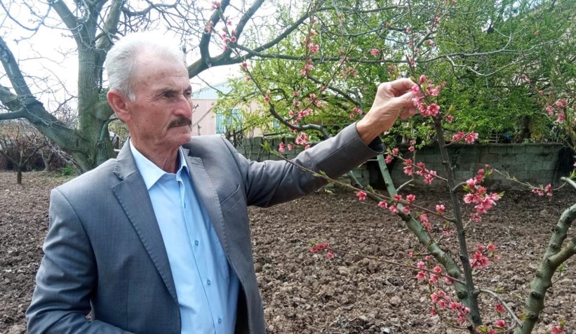 Pamukovalı çiftçinin zararı büyük