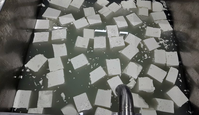 Pamukova’ya özgü süt ürünleri geliştirilecek