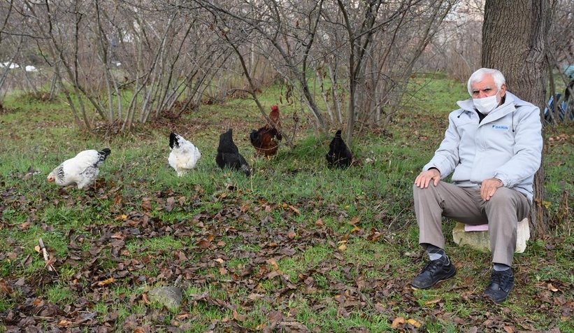 Pandemide tavukları ile vakit geçiriyor!