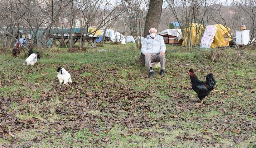Pandemide tavukları ile vakit geçiriyor!