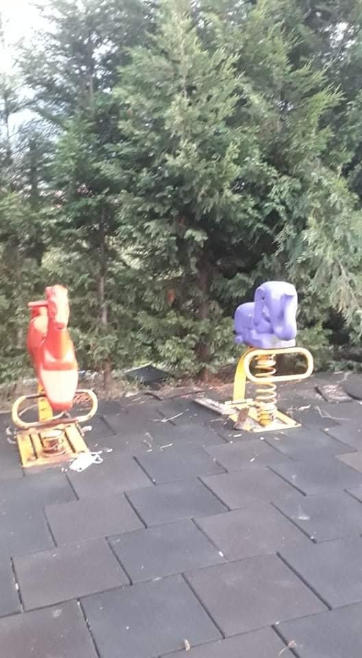 Parka yuva yapan arılar çocuklara saldırdı